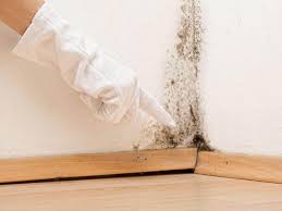 Best Mold Remediation for Healthcare Facilities  in Hewlett Harbor, NY